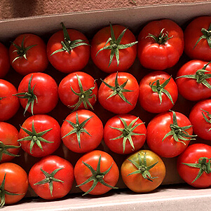 تجارت-آسیا-دشت سبز-گوجه 1.jpg