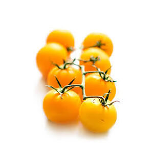 تجارت-آسیا-مزرعه سالم-گوجه گیلاسی زرد 3.jpg
