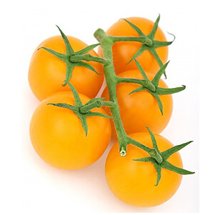 تجارت-آسیا-مزرعه سالم-گوجه گیلاسی زرد 1.jpg